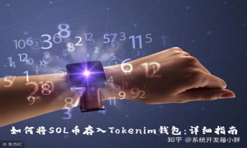 如何将SOL币存入Tokenim钱包：详细指南