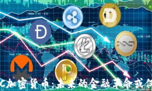 
深入探讨OICC加密货币：未来的金融革命或仅是昙花一现？