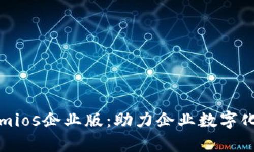 深入探索Tokenimios企业版：助力企业数字化转型的关键工具