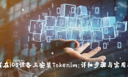 如何在iOS设备上安装Tokenim：详细步骤与实用指南