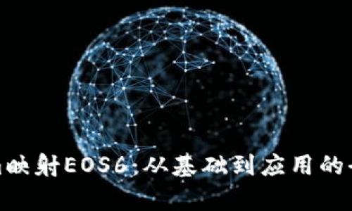 Tokenim映射EOS6：从基础到应用的全面解析