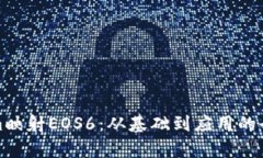 Tokenim映射EOS6：从基础到应