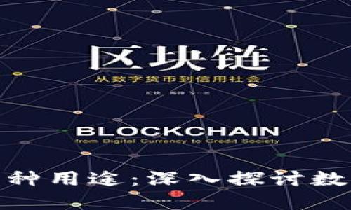 加密货币的多种用途：深入探讨数字资产的价值