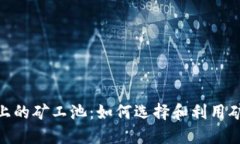 深入了解Tokenim上的矿工池