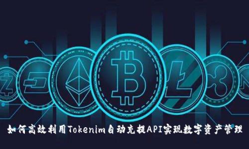 如何高效利用Tokenim自动充提API实现数字资产管理
