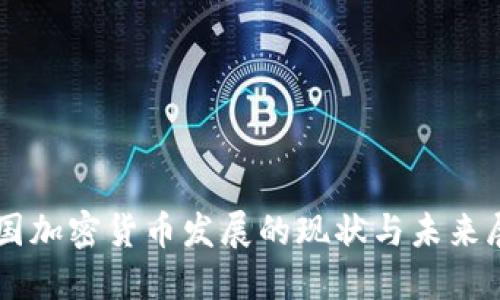 中国加密货币发展的现状与未来展望