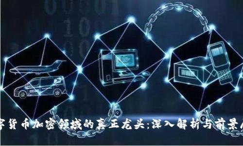 数字货币加密领域的真正龙头：深入解析与前景展望