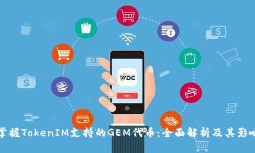 掌握TokenIM支持的GEM代币：全面解析及其影响
