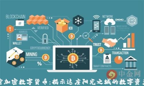 
迈阿密加密数字货币：揭示这座阳光之城的数字资产未来