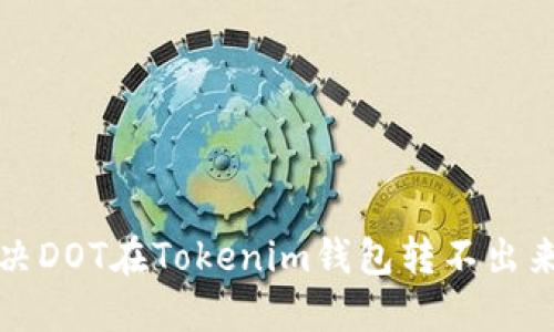 如何解决DOT在Tokenim钱包转不出来的问题