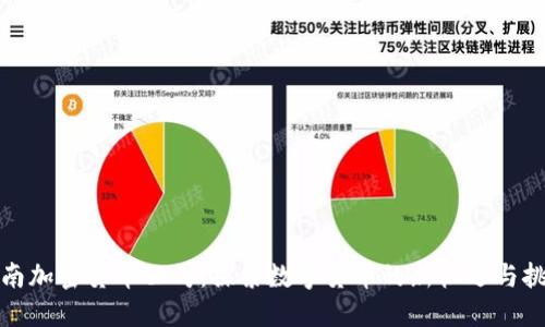 海南加密货币公司：探索数字货币的新机遇与挑战