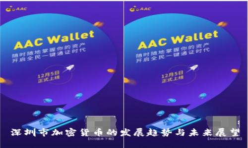 深圳市加密货币的发展趋势与未来展望