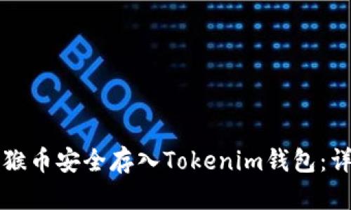 如何将猴币安全存入Tokenim钱包：详细指南