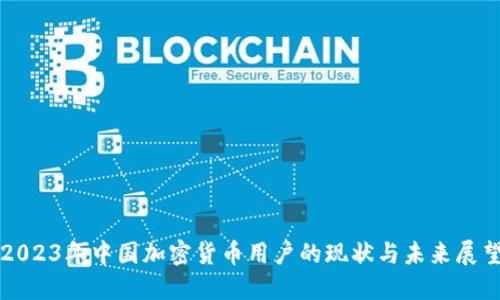 2023年中国加密货币用户的现状与未来展望
