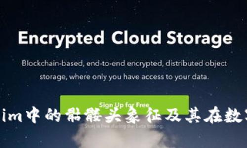 深入解析Tokenim中的骷髅头象征及其在数字资产中的价值