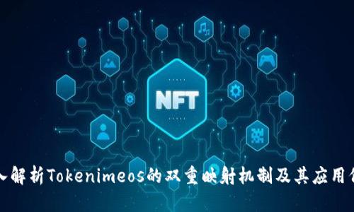 深入解析Tokenimeos的双重映射机制及其应用价值