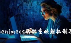深入解析Tokenimeos的双重映