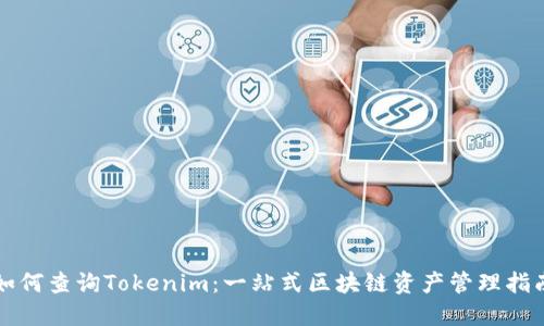 如何查询Tokenim：一站式区块链资产管理指南