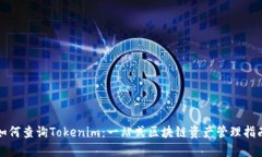 如何查询Tokenim：一站式区
