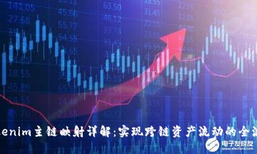 Tokenim主链映射详解：实现跨链资产流动的全流程