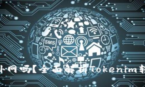 Tokenim转账需要外网吗？全面解析Tokenim转账机制和网络需求