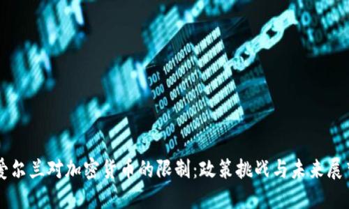 爱尔兰对加密货币的限制：政策挑战与未来展望