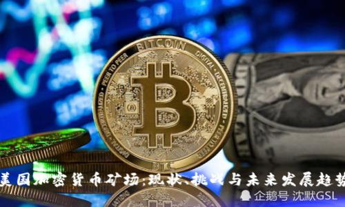 美国加密货币矿场：现状、挑战与未来发展趋势