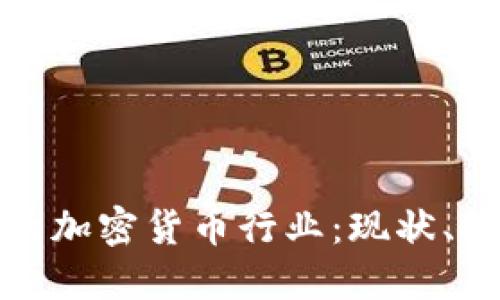 深入解读印度的加密货币行业：现状、挑战与未来趋势