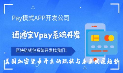 美国加密货币开采的现状与未来发展趋势