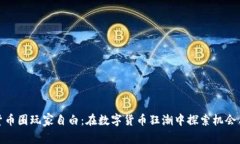 加密货币圈玩家自白：在