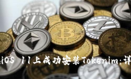 如何在iOS 11上成功安装Tokenim：详尽指南