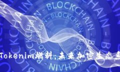 深度解析Tokenim燃料：未来