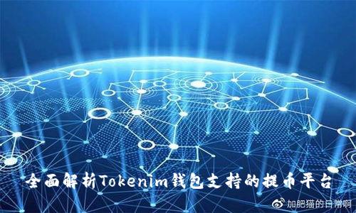 全面解析Tokenim钱包支持的提币平台