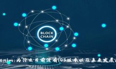 Tokenim：为什么目前没有