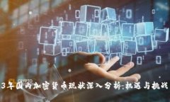 2023年国内加密货币现状深