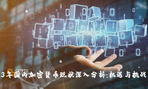 2023年国内加密货币现状深入分析：机遇与挑战并存