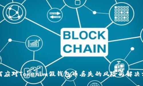 如何应对Tokenim假钱包币丢失的风险与解决方案