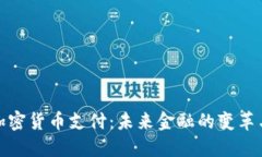 德国加密货币支付：未来