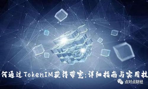 如何通过TokenIM获得带宽：详细指南与实用技巧