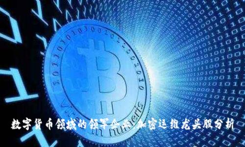 数字货币领域的领军企业：加密运维龙头股分析