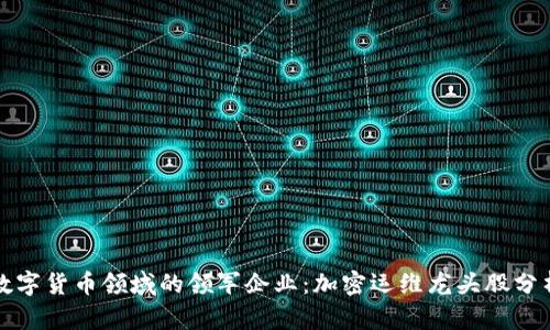 数字货币领域的领军企业：加密运维龙头股分析