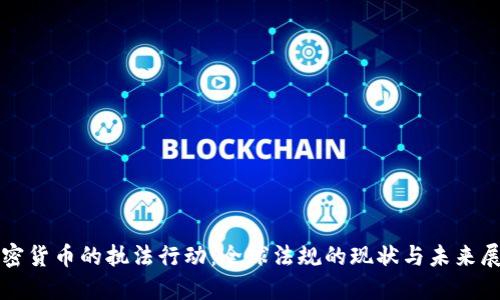 加密货币的执法行动：全球法规的现状与未来展望