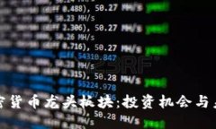 全球加密货币龙头板块：
