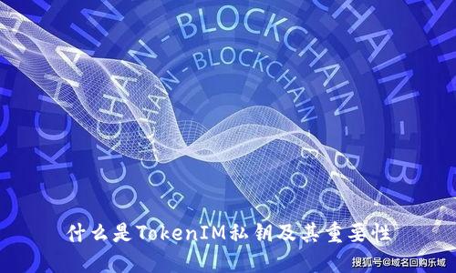 什么是TokenIM私钥及其重要性