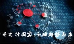 加密货币支付国家：全球