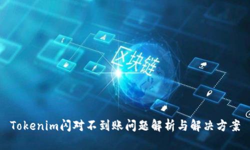 Tokenim闪对不到账问题解析与解决方案