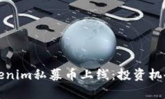 深度解析Tokenim私募币上线