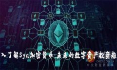 深入了解Sya加密货币：未