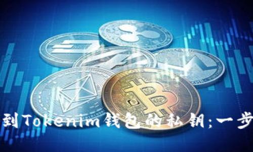 如何找到Tokenim钱包的私钥：一步步指南
