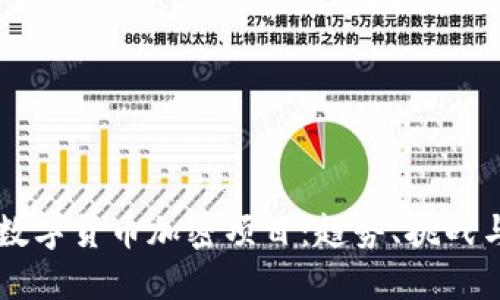 深入探讨数字货币加密项目：趋势、挑战与未来展望